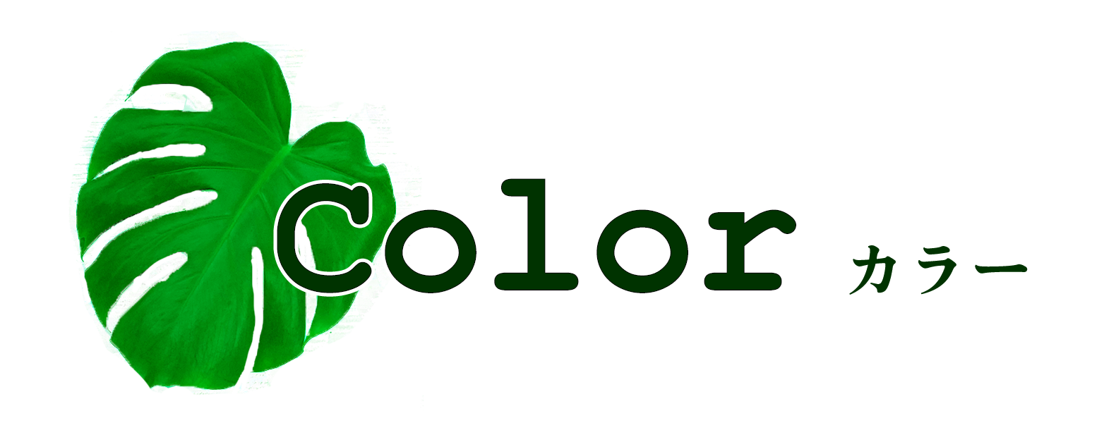 カラータイトル
