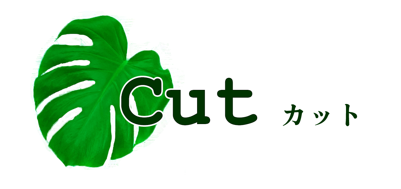 カットタイトル