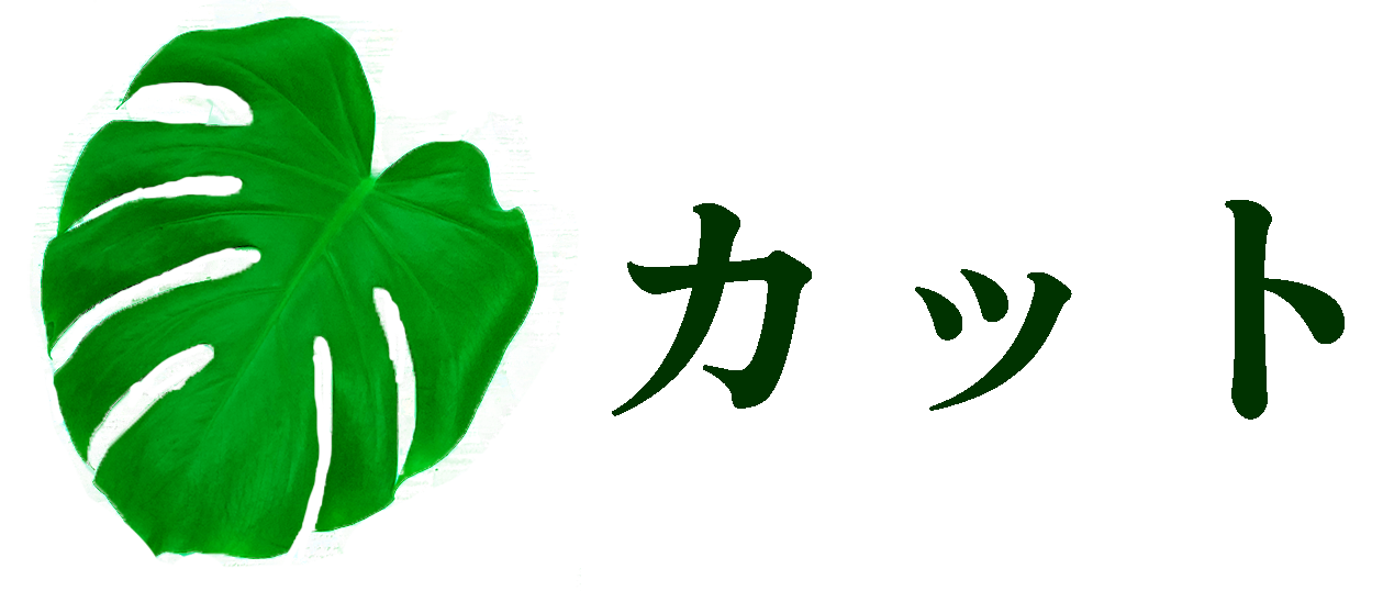 カット料金