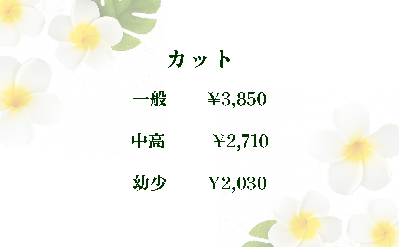カット料金表