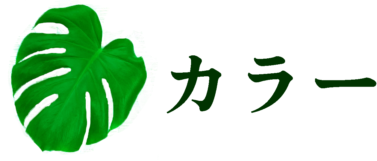 カラータイトル